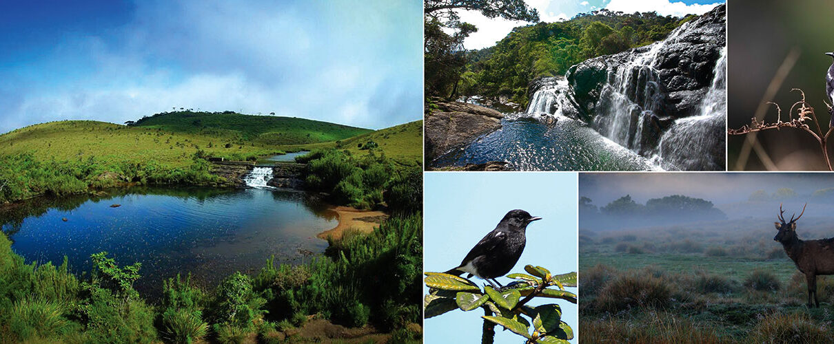 Horton Plains National Park Sri Lanka - ceylonheaven.com