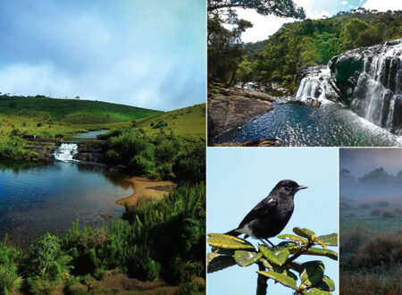 Horton Plains National Park Sri Lanka - ceylonheaven.com