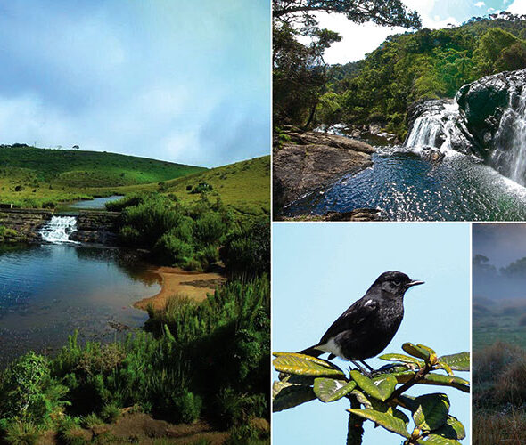 Horton Plains National Park Sri Lanka - ceylonheaven.com