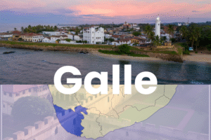 Galle