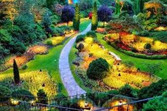 Top 5 Tourist Attractions in Kandy District, Sri Lanka Royal Botanical Gardens, Peradeniya