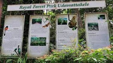 Top 5 Tourist Attractions in Kandy District, Sri Lanka Udawattakele Forest Reserve