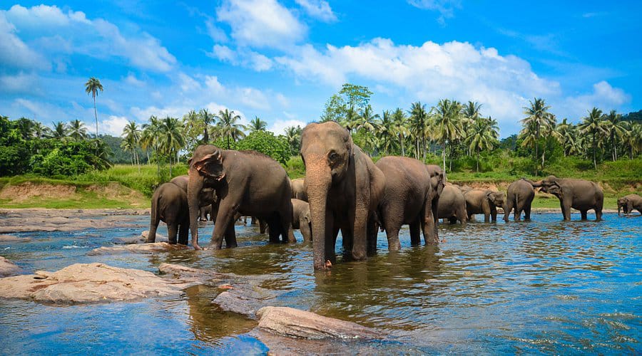Top 5 Must Visit Places in Gampaha