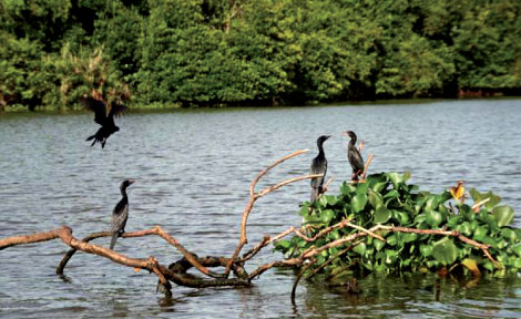 Top 5 Must Visit Places in Gampaha
